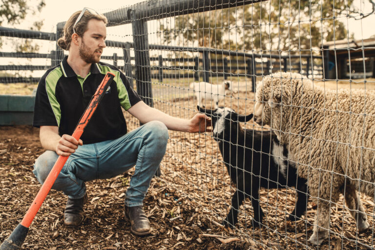 Pms Farm Pearson's Farm