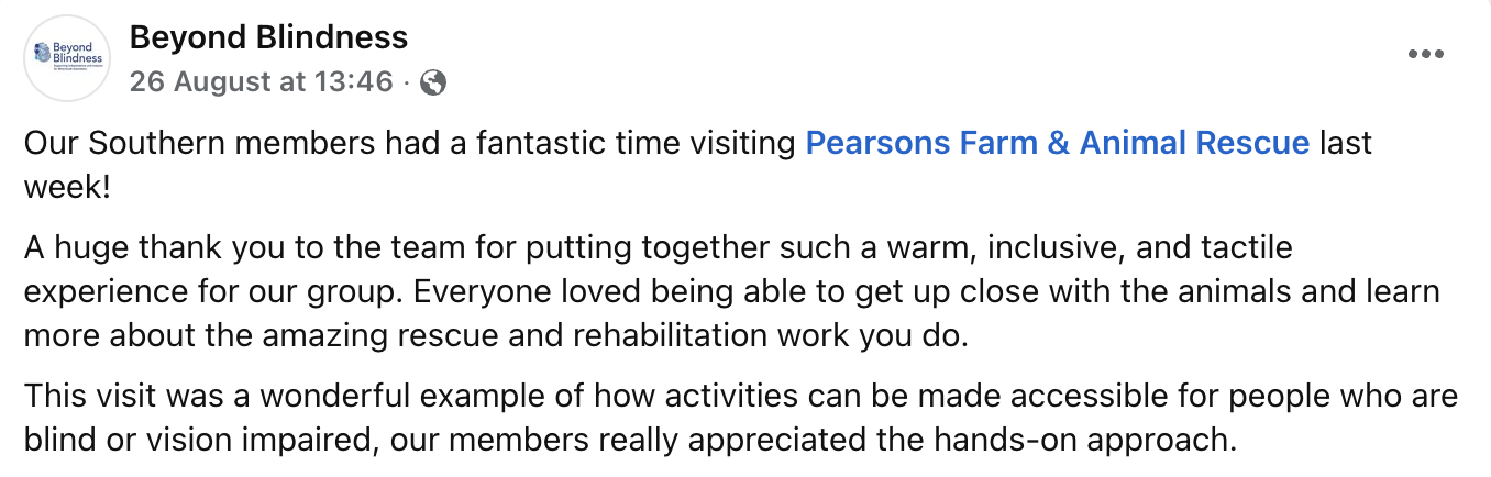 What Our Visitors Say
