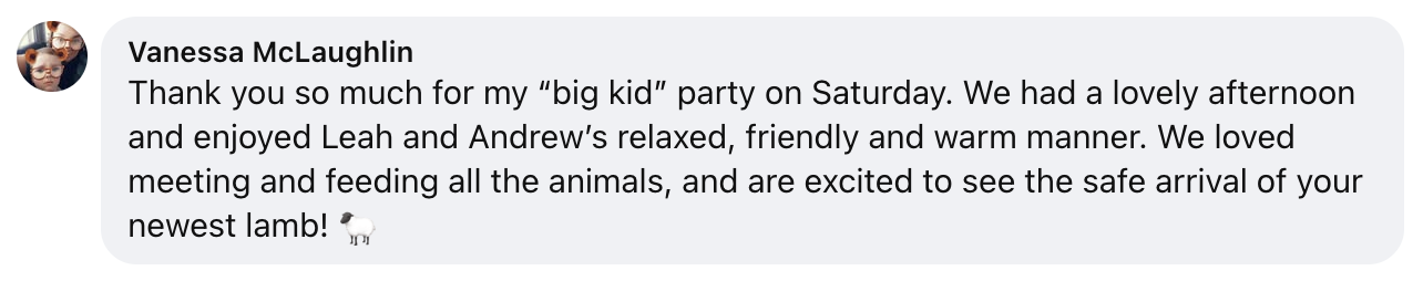 What Our Visitors Say